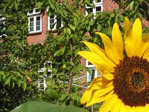 Bäume, Sträucher und Blumen bestimmen das Erscheinungsbild unseres Hofes